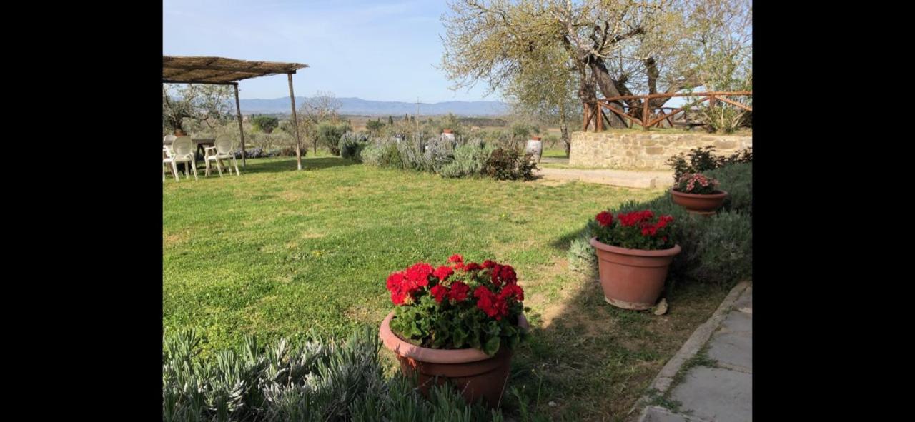 Agriturismo La Posta Reale Castiglion Fibocchi Esterno foto