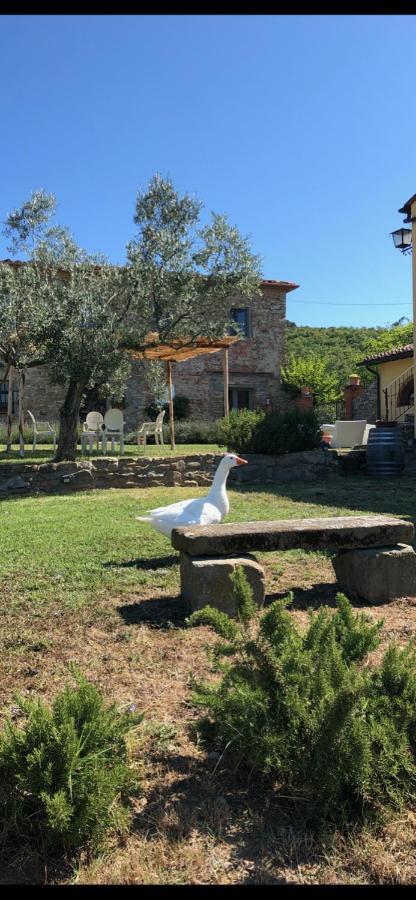 Agriturismo La Posta Reale Castiglion Fibocchi Esterno foto