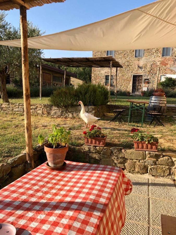 Agriturismo La Posta Reale Castiglion Fibocchi Esterno foto
