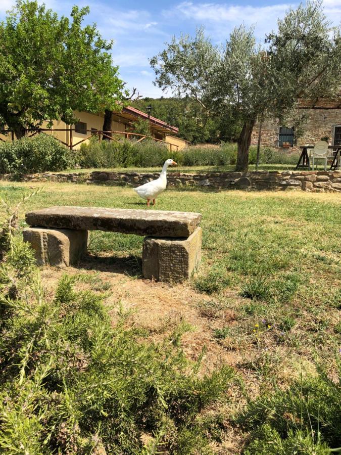 Agriturismo La Posta Reale Castiglion Fibocchi Esterno foto