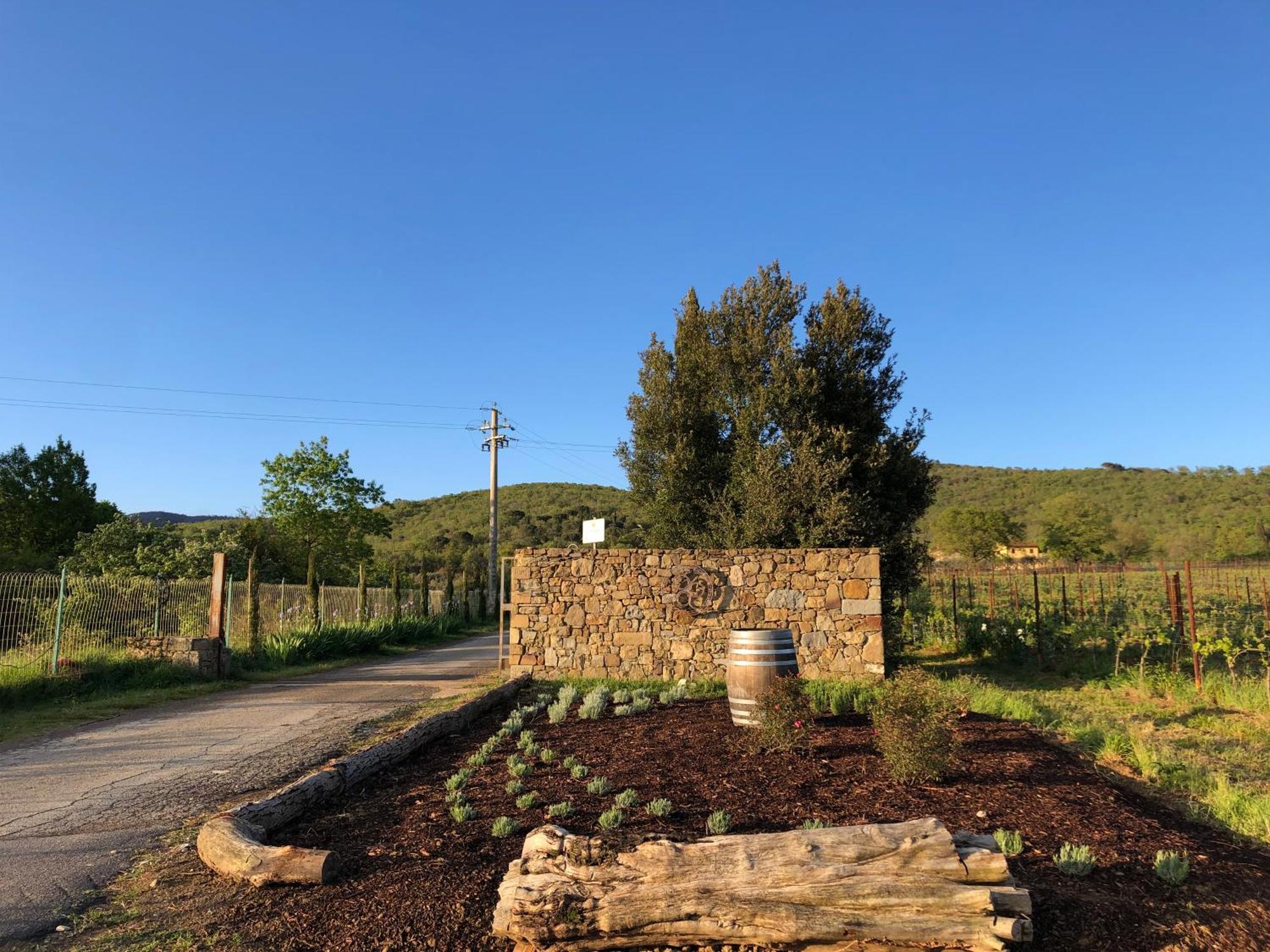 Agriturismo La Posta Reale Castiglion Fibocchi Esterno foto