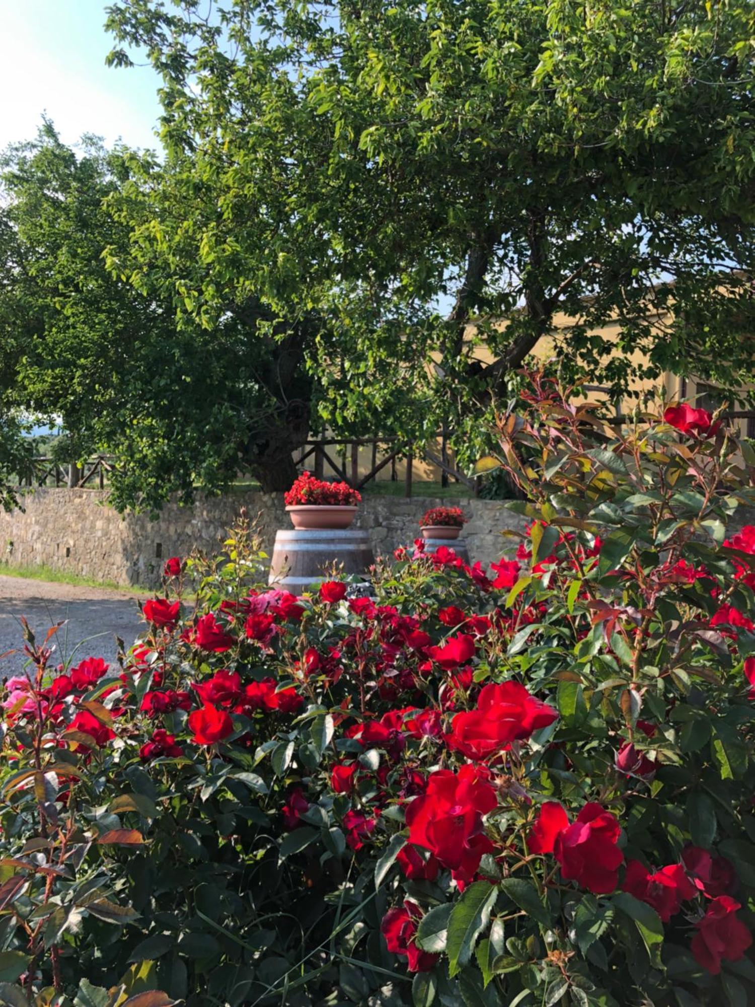 Agriturismo La Posta Reale Castiglion Fibocchi Esterno foto