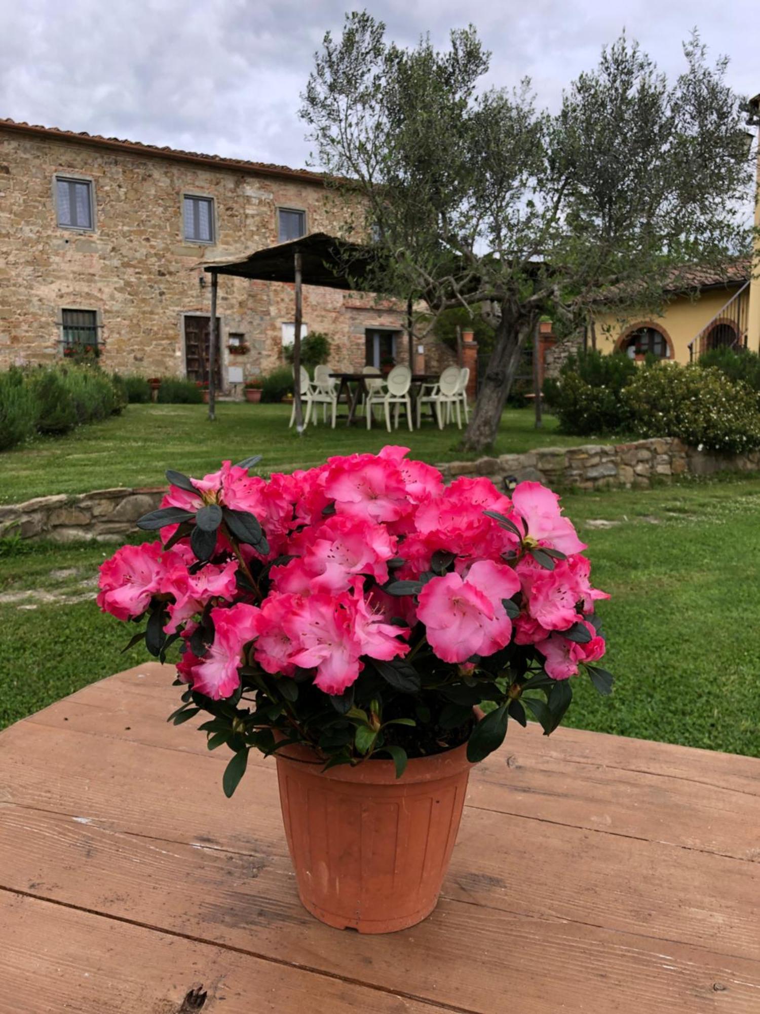 Agriturismo La Posta Reale Castiglion Fibocchi Esterno foto