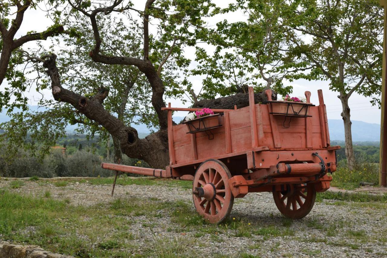 Agriturismo La Posta Reale Castiglion Fibocchi Esterno foto